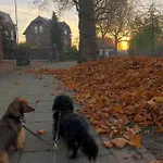 Anna, Frühstückspension