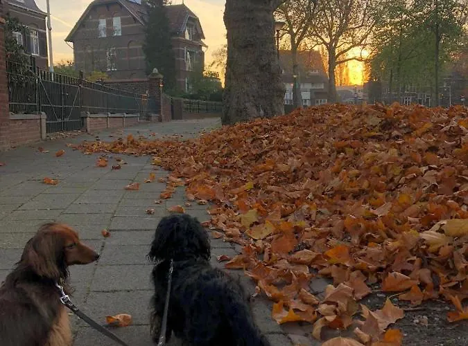 Anna, Bed & Breakfast