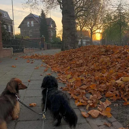 Anna, Bed & Breakfast